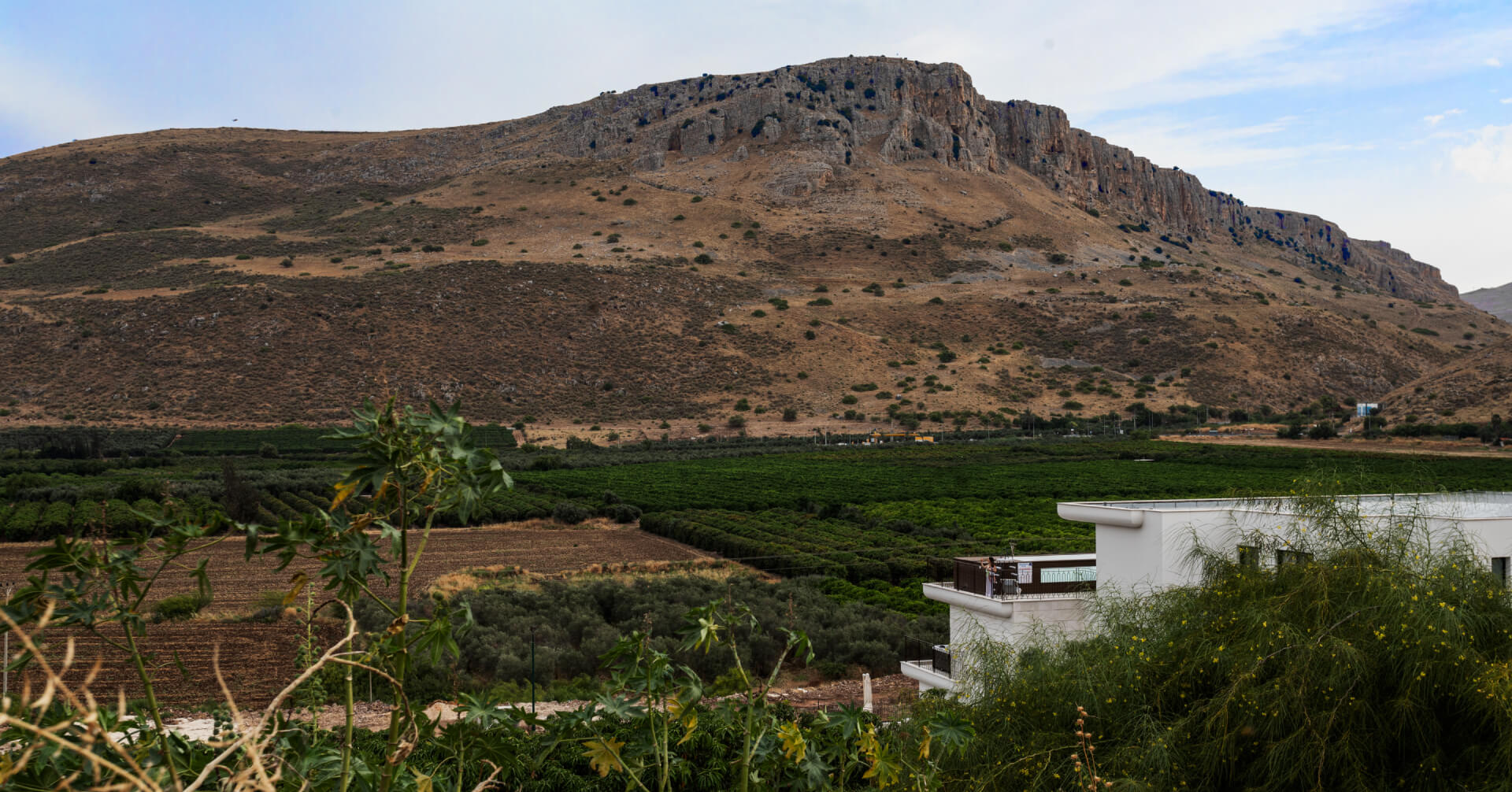 The Nine Villas - נוף